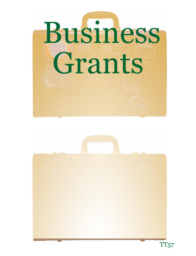 Business Grants
