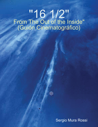 "16 1/2: From The Out of the Inside" (en español)