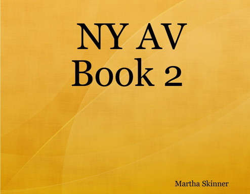 NY AV Book 2