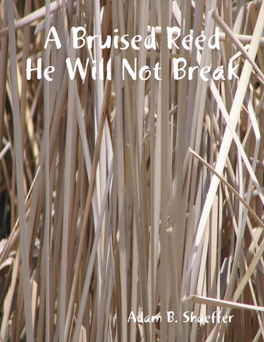 A Bruised Reed He Will Not Break