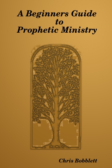 A Beginners Guide to Prophetic Ministry
