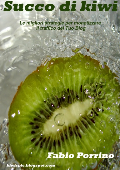 Succo di Kiwi. Le migliori strategie per monetizzare il traffico del tuo blog.