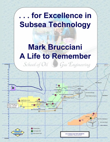 . . .for Excellence in Subsea Technology