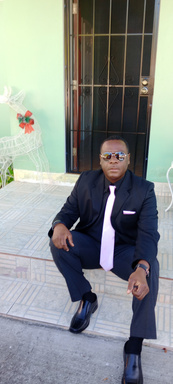Image of Author The Black Shakespeare (aka. David Stillman Brown)