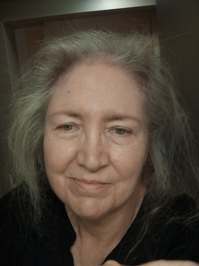 Image of Author Laurie Ann Smith