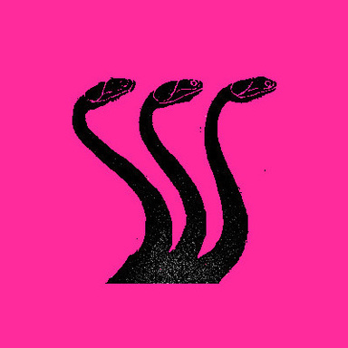 Image of Author The Pink Hydra
