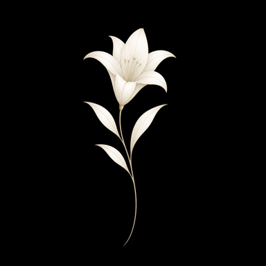 Image of Author Shade & Lilium Books