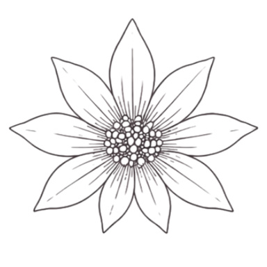 Image of Author Flannel Flower Loft