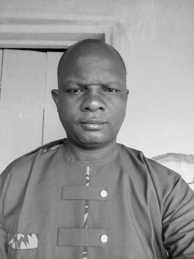 Image of Author Dacosta Olugbenga