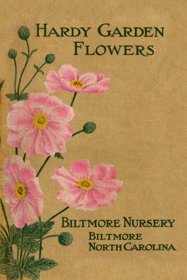 1910 Biltmore Nursery: Hardy Garden Flowers