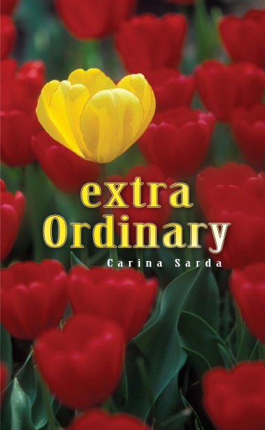 Extra Ordinary