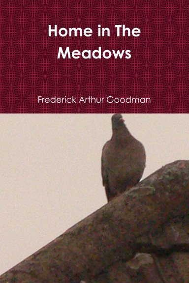 Home in The Meadows