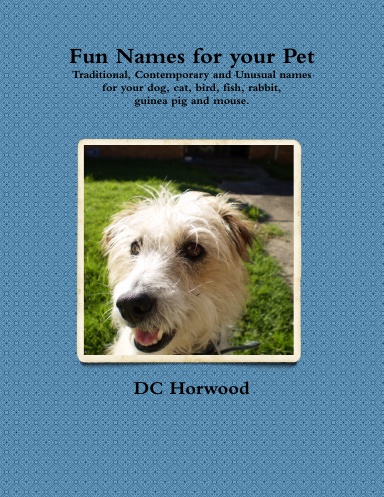Fun Names for your Pet