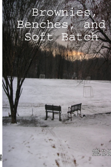 Brownies, Benches, and Soft Batch