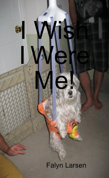 I Wish I Were Me!