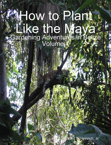 How to Plant Like the Maya