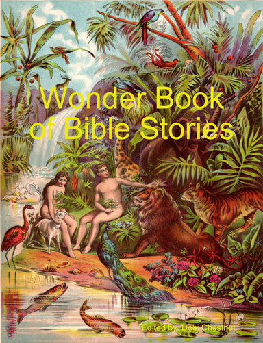 Wonder Book of Bible Stories