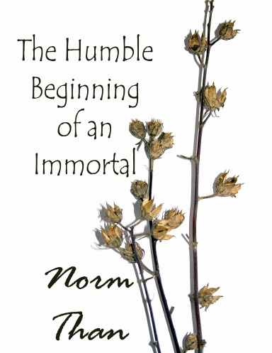The Humble Beginning of an Immortal