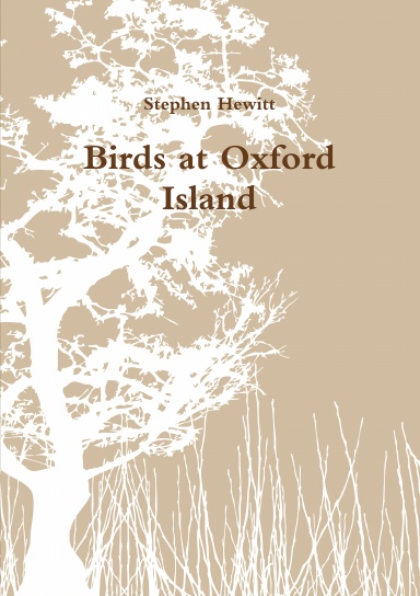 Birds at Oxford Island