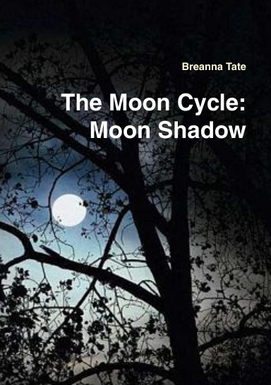 The Moon Cycle: Moon Shadow