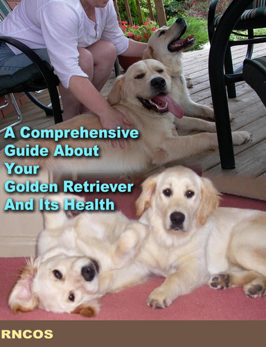 A Comprehensive Guide about Your Golden Retriever And Its Health