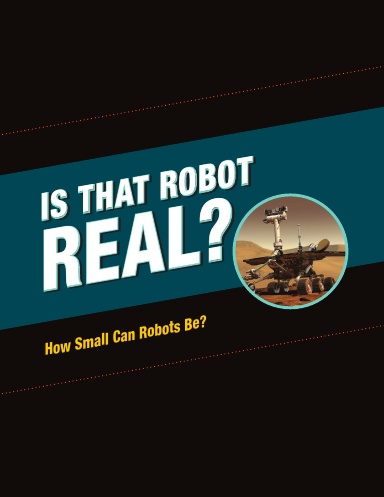 Is That Robot Real?