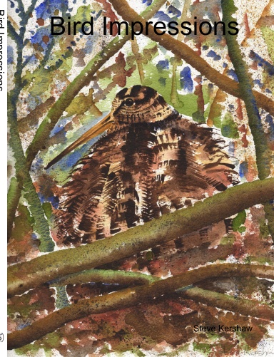 Bird Impressions