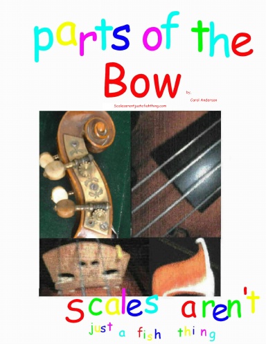 Parts of the Violin Bow