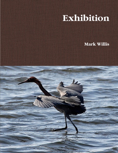 Exhibition
