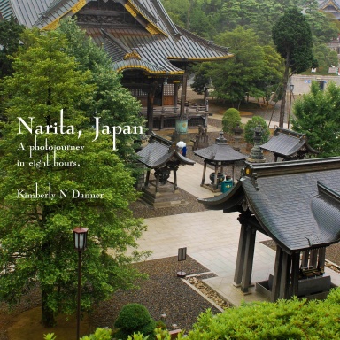 Narita, 8 hours