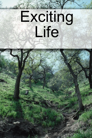 Title of my book