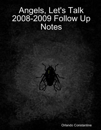 2008-2009 Notes To The Book "Angels, Let's Talk"