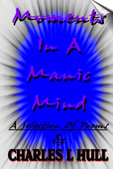Moments In A Manic Mind
