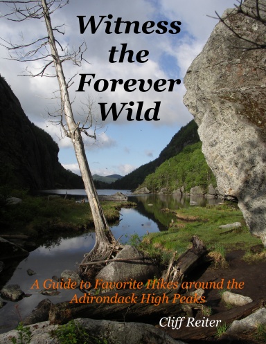 Witness the Forever Wild, A Guide to Favorite Hikes Around the Adirondack High Peaks