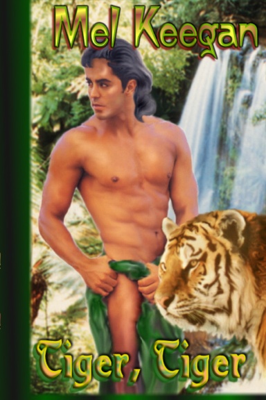 Tiger, Tiger - Hardcover