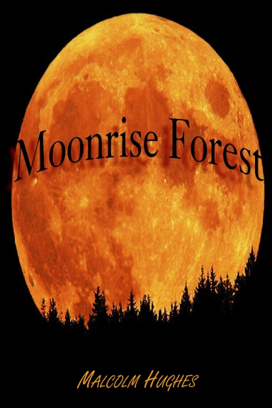 Moonrise Forest