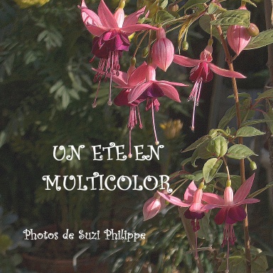 Un été fleuri en multicolor