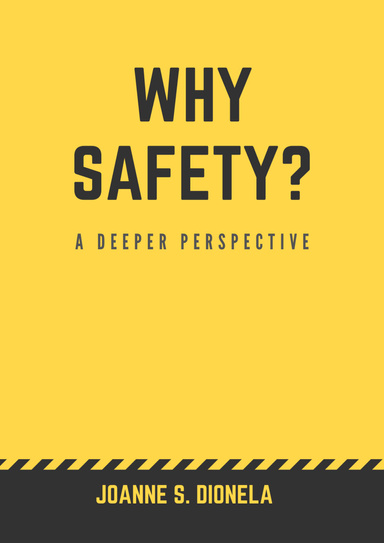 Why Safety?