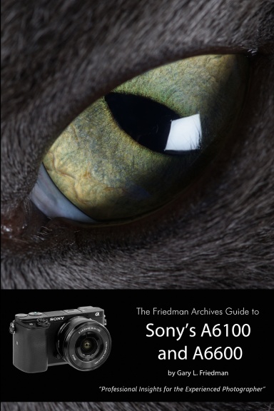 Product Feature, Alpha 6600 l Sony