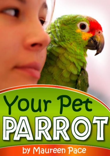 Your Pet Parrot