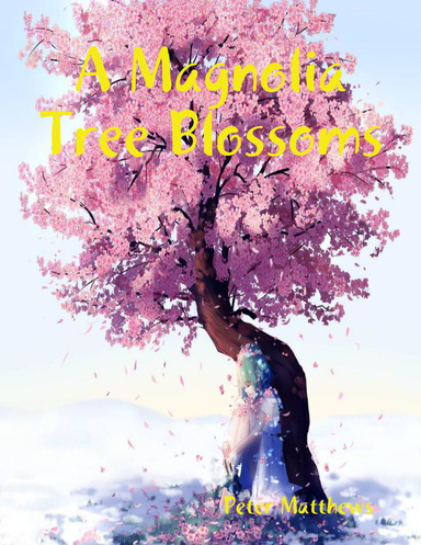 A Magnolia Tree Blossoms