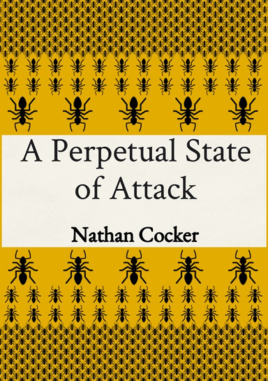 A Perpetual State of Attack