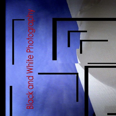 Digital Photography Spring 2010