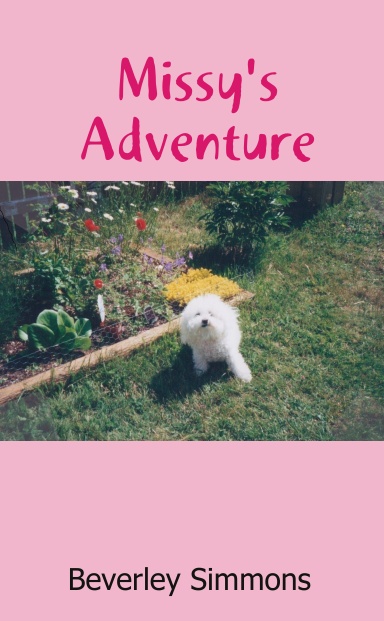 Missy's Adventure