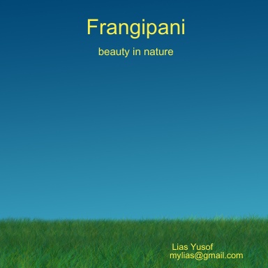 Frangipani, beauty in nature.