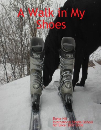 Walking in My Shoes