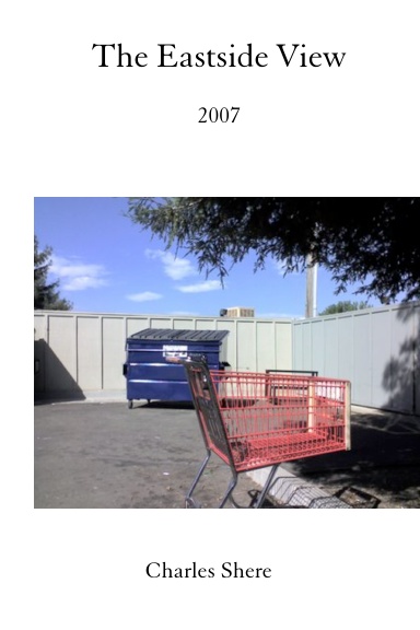 The Eastside View: 2007