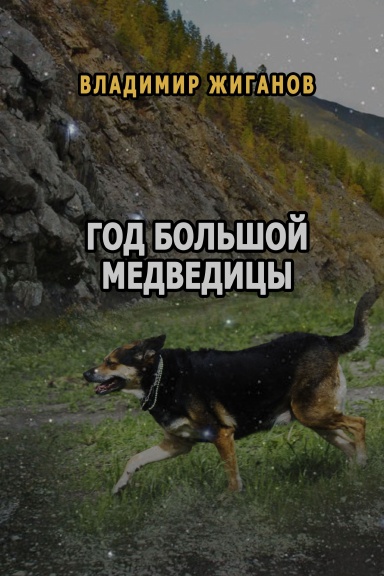 God bol'shoy medveditsy