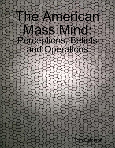 The American Mass Mind: Perceptions, Beliefs and Operations