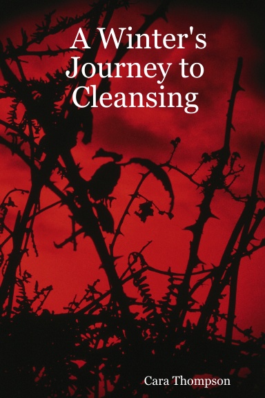 A Winter's Journey to Cleansing